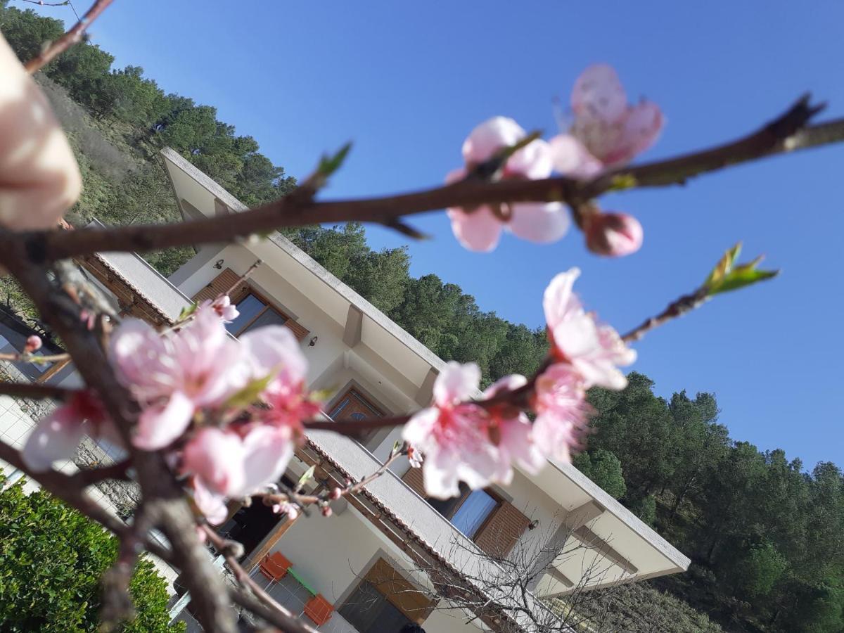 Kanushi House Gjirokaster Luaran gambar